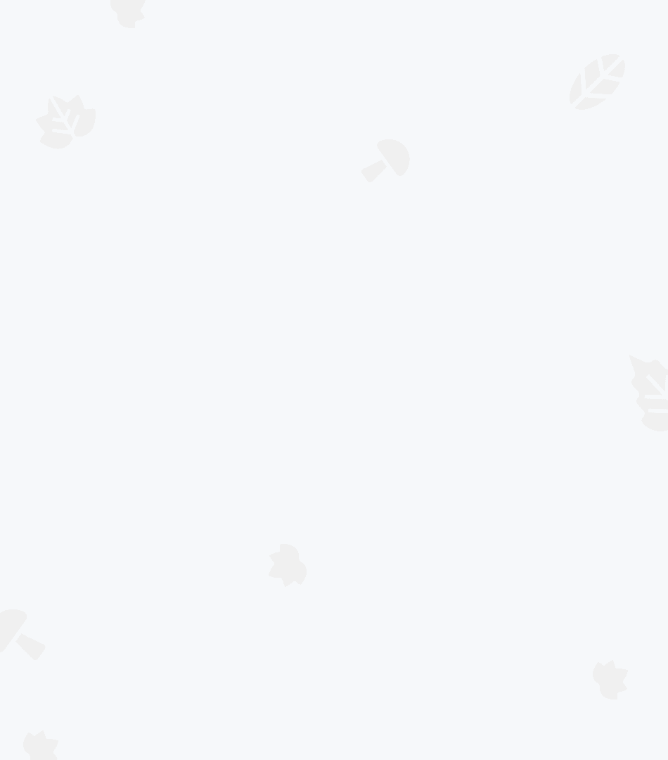 Authentication Background Image